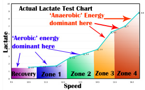 Energy Systems used in Lactate Test